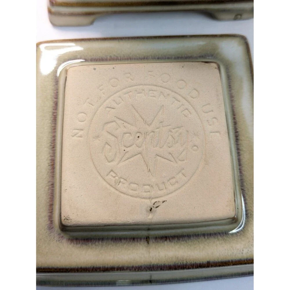 Scentsy Snapshot Wax Warmer Full Size Interchangeable Photo 2015